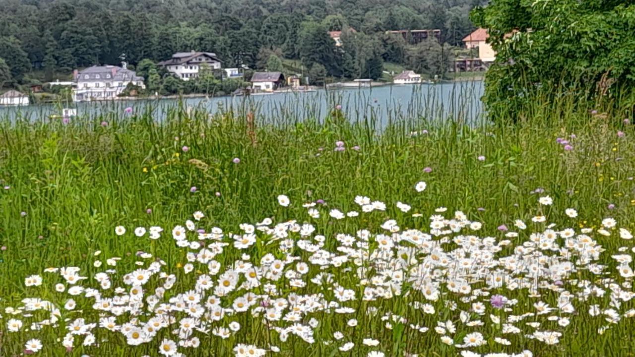 Glanz Und Gloria Velden! Woerthersee In 5 Min Zu Fuss Erreichbar! Velden am Wörthersee Eksteriør bilde