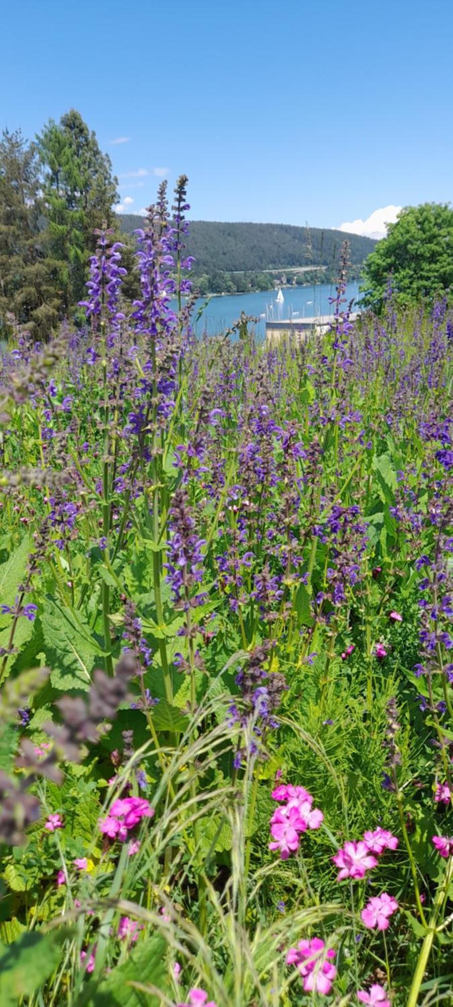 Glanz Und Gloria Velden! Woerthersee In 5 Min Zu Fuss Erreichbar! Velden am Wörthersee Eksteriør bilde
